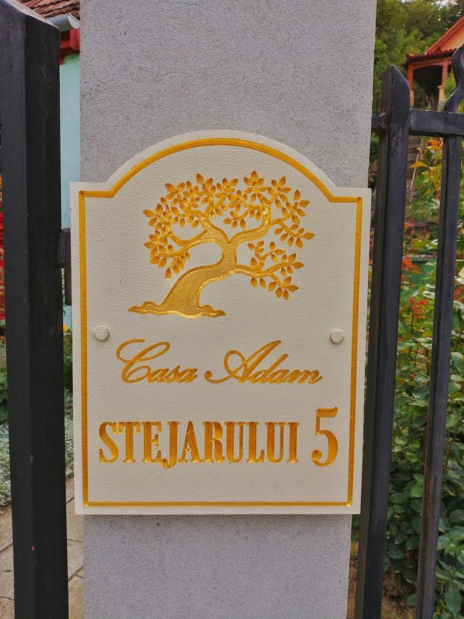 Casa Adam Hotel Sighisoara Exterior photo